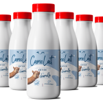 Lait de Chamelle pasteurisé