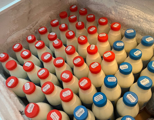 camelait lait pasteurisé de chamelle surgelé