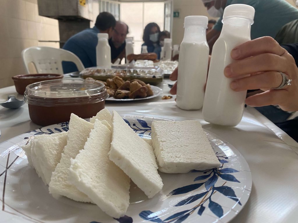 degustation premier fromage de chamelle