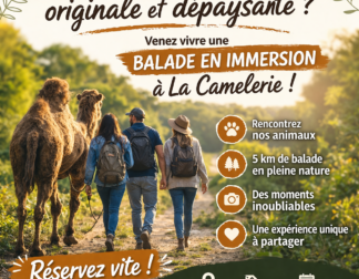 Balade en immersion