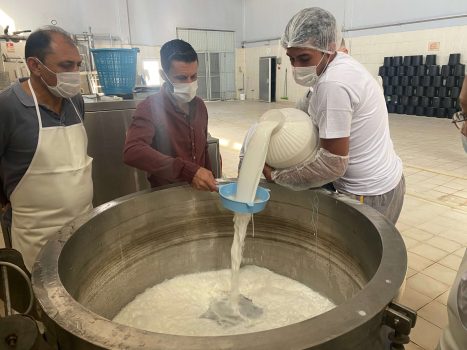 filtration lait de chamelle
